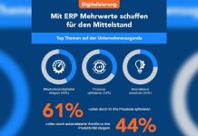 Das ist wichtig für die ERP-Strategie