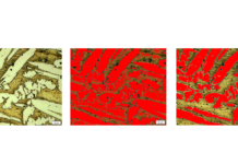 Deep Learning optimiert industrielle Bildanalyse