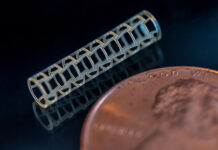 BMF und 4D Biomaterials kooperieren