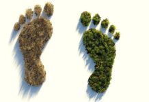 So kann Klimaneutralität funktionieren