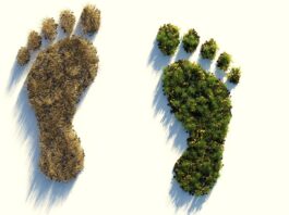 So kann Klimaneutralität funktionieren