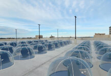 „Solar-Sonnenblumen“ fürs Flachdach