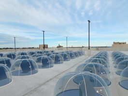 „Solar-Sonnenblumen“ fürs Flachdach