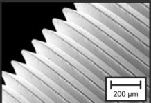 Magnesiumimplantate im Fokus