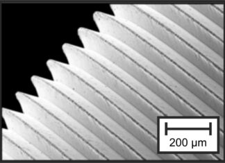 Magnesiumimplantate im Fokus
