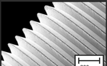 Magnesiumimplantate im Fokus